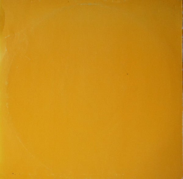 Marisa Turner : Don't Need To Know Your Name (12")