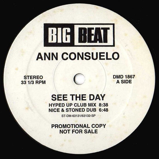 Ann Consuelo : See The Day (12", Promo)