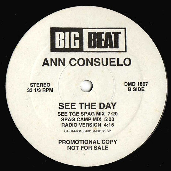 Ann Consuelo : See The Day (12", Promo)
