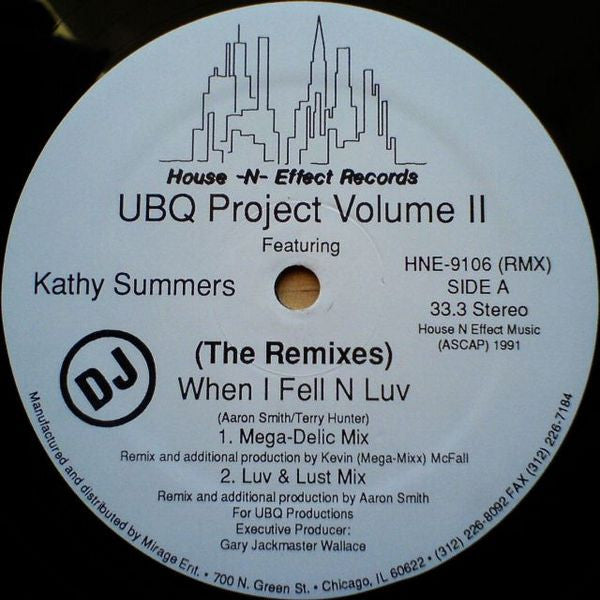 UBQ Project Volume II* Featuring Kathy Summers : When I Fell N Luv (The Remixes) (12", Promo)
