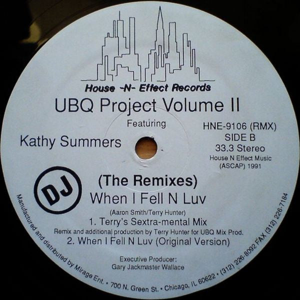 UBQ Project Volume II* Featuring Kathy Summers : When I Fell N Luv (The Remixes) (12", Promo)