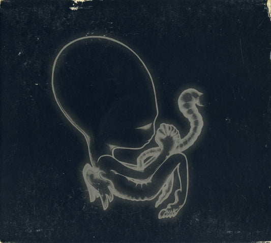 Sigur Rós : Ágætis Byrjun (CD, Album, Dig)