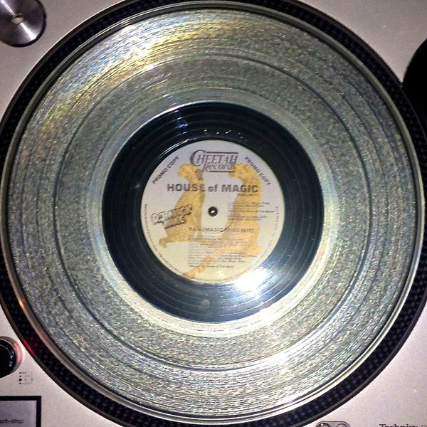 DJ Magic Mike : House Of Magic (12", Promo, Cle)