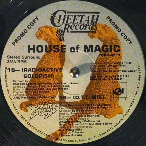 DJ Magic Mike : House Of Magic (12", Promo, Cle)