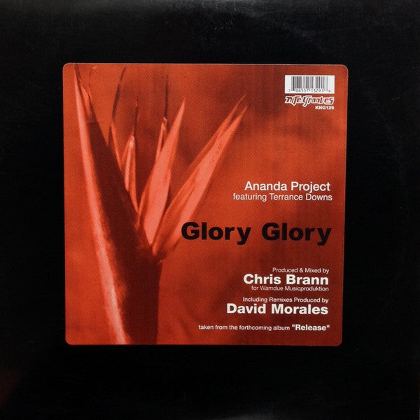 The Ananda Project Feat. Terrance Downs : Glory Glory (12")