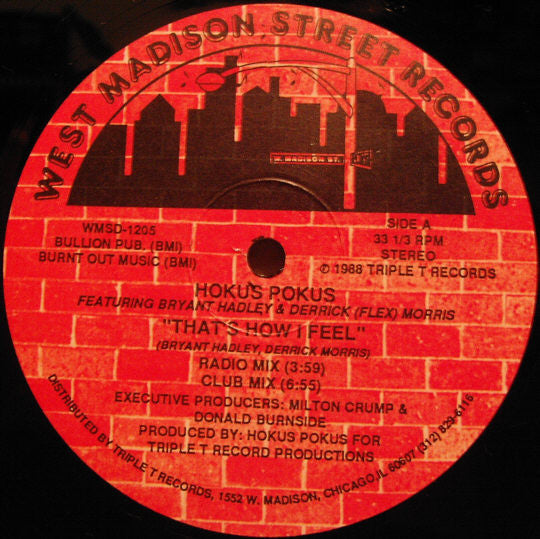Hokus Pokus Featuring Bryant Hadley* & Derrick (Flex) Morris* : That's How I Feel (12")