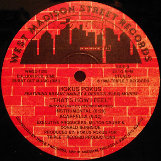 Hokus Pokus Featuring Bryant Hadley* & Derrick (Flex) Morris* : That's How I Feel (12")
