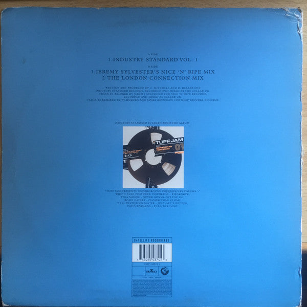 Industry Standard (2) : Industry Standard Vol. 1 (What You Want) (12")