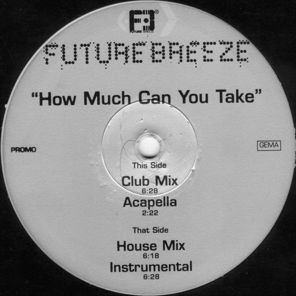 Future Breeze : How Much Can You Take (12", Promo)