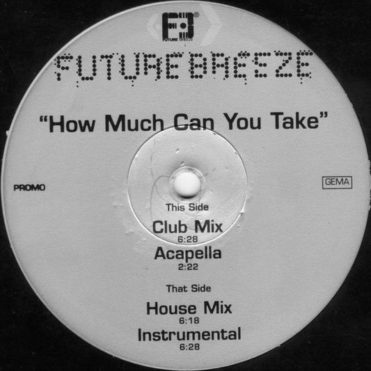 Future Breeze : How Much Can You Take (12", Promo)