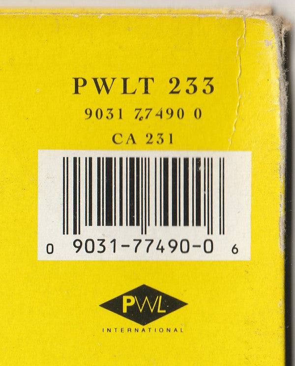 Pat & Mick : Shake Your Groove Thing (12")