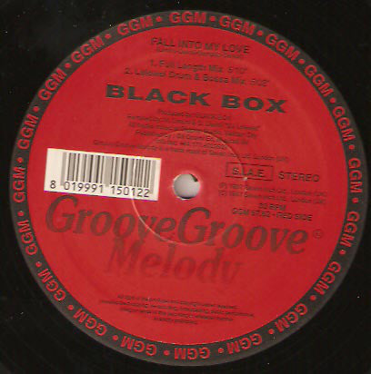 Black Box : Fall Into My Love (12", Maxi)