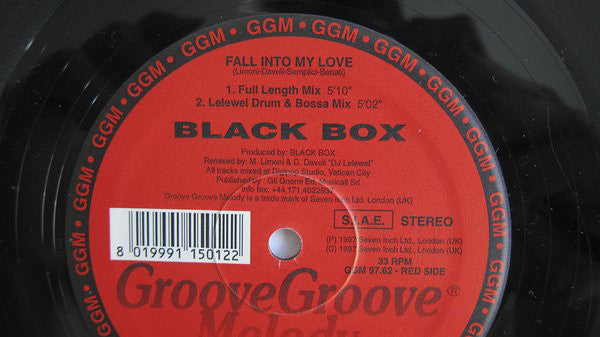 Black Box : Fall Into My Love (12", Maxi)