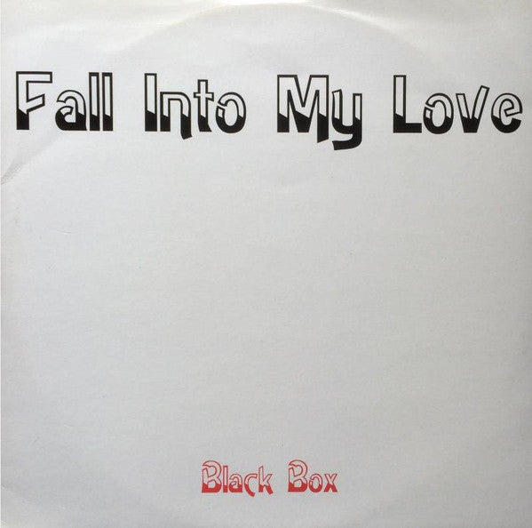 Black Box : Fall Into My Love (12", Maxi)