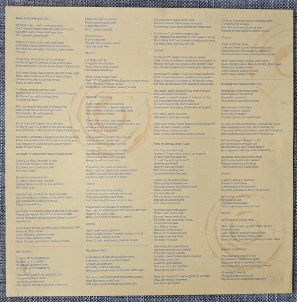 ALO * Animal Liberation Orchestra : Silver Saturdays (LP)