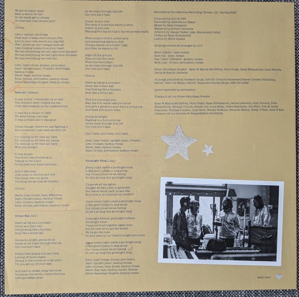 ALO * Animal Liberation Orchestra : Silver Saturdays (LP)