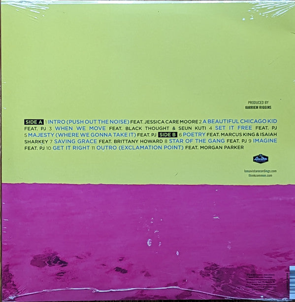 Common : A Beautiful Revolution Pt 2 (LP, Album, Neo)