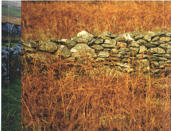 The Chieftains : The Wide World Over: A 40 Year Celebration (CD, Comp)