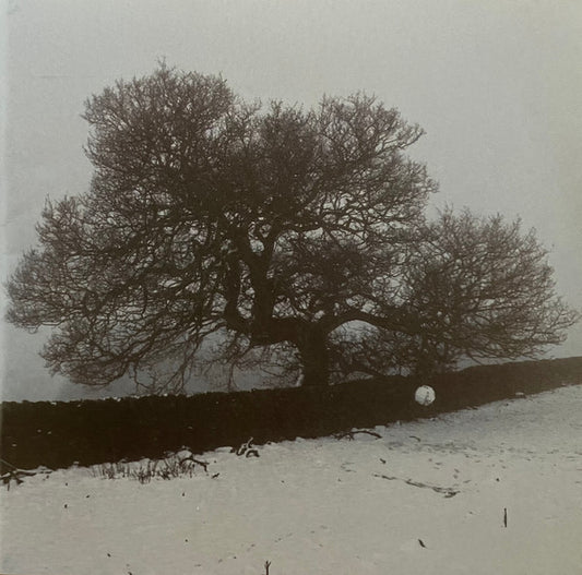 k.d. lang : Hymns Of The 49th Parallel (CD, Album, Com)