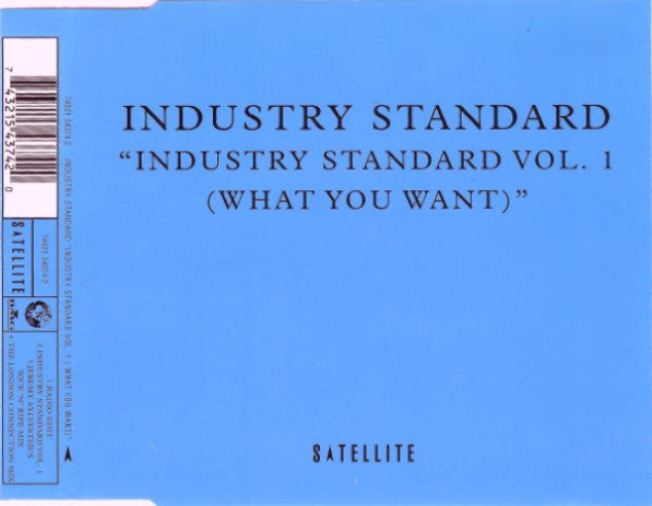 Industry Standard (2) : Industry Standard Vol. 1 (What You Want) (CD, Single)