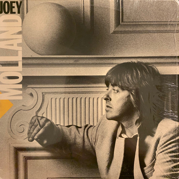 Joey Molland : After The Pearl (LP, Album)