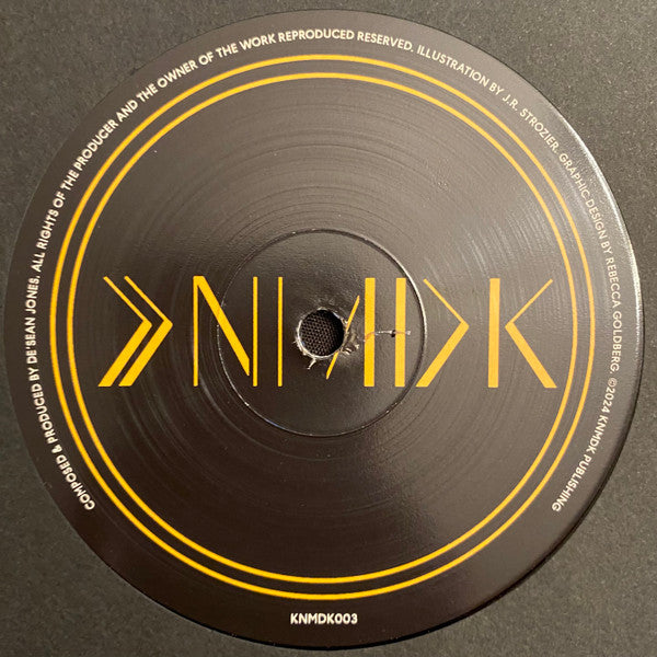 Urban Art Orchestra : Live In Detroit Vol. 2 (LP, Album)