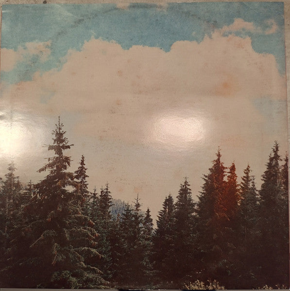 JD Clayton : Blue Sky Sundays (LP, Album, Blu)