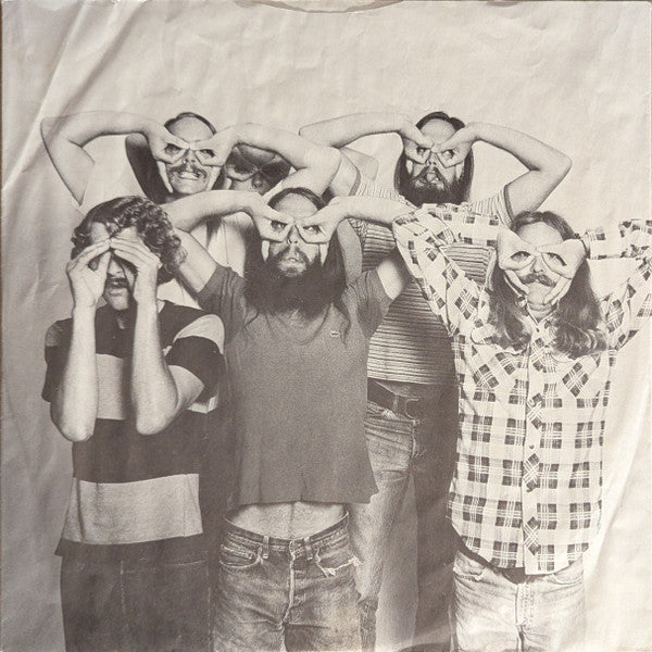 The Ozark Mountain Daredevils : It'll Shine When It Shines (LP, Album)