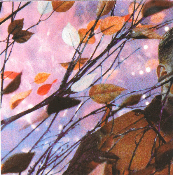 Erasure : Wild! (CD, Album, Club, RE)