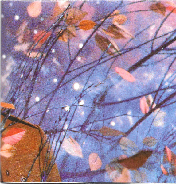 Erasure : Wild! (CD, Album, Club, RE)