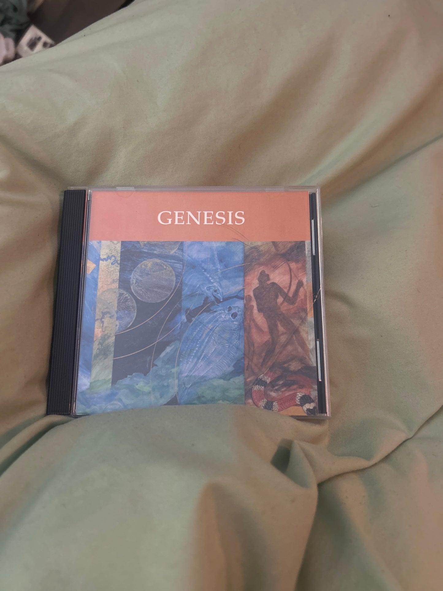 Little Rock Scripture Study - Genesis (DVD)