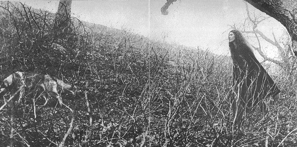 Rita Coolidge : Nice Feelin' (LP, Album, Ter)