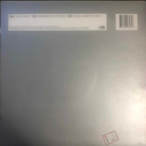 DJ Q : Landing Soon On A Planet Near You (12")