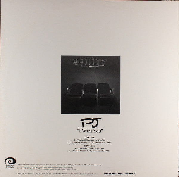 PJ* : I Want You (12", Promo)