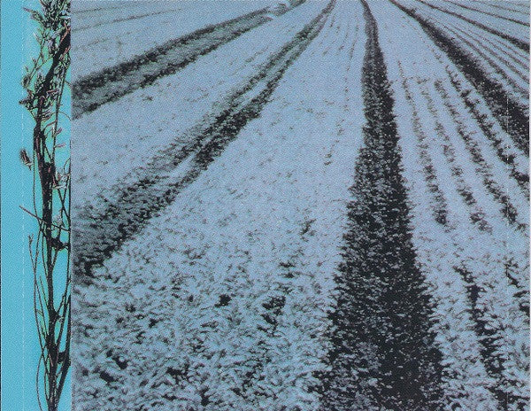 Tracy Chapman : New Beginning (CD, Album, Club)