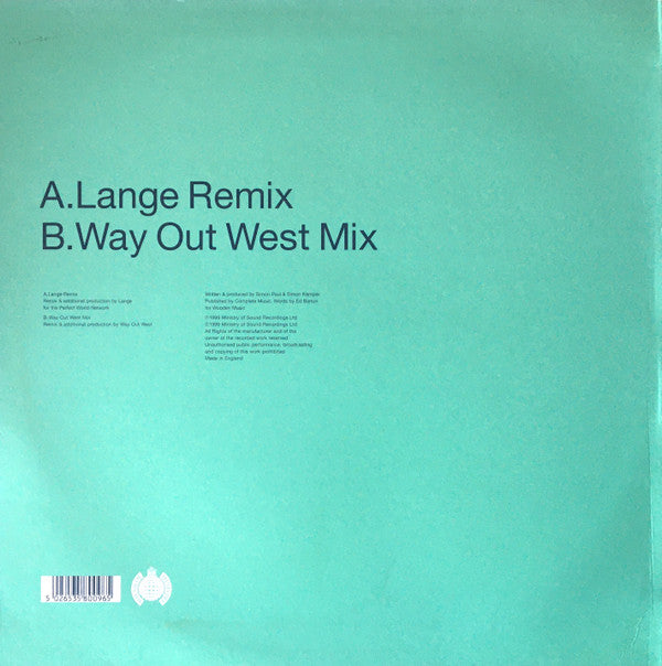 Lost Witness : Happiness Happening (12", Single)