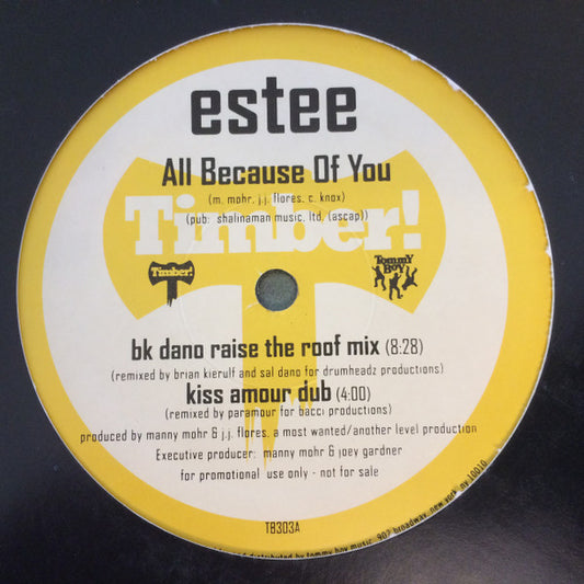 Estee : All Because Of You (12", Promo)