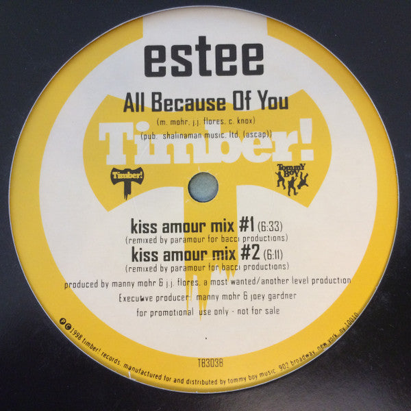 Estee : All Because Of You (12", Promo)