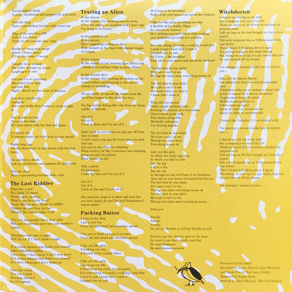 Girl Band : Holding Hands With Jamie (LP, Album)