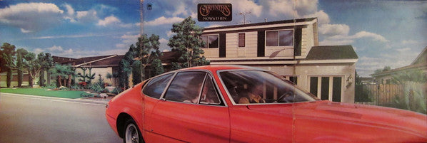 Carpenters : Now & Then (LP, Album, Club, RE)