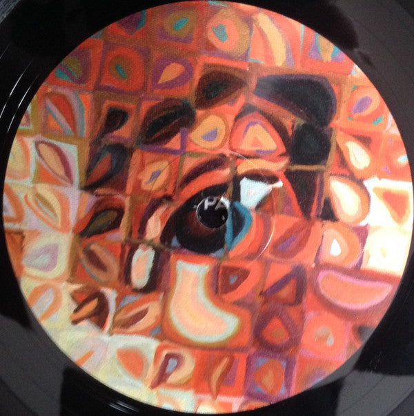 Paul Simon : Stranger To Stranger (LP, Album, 180)