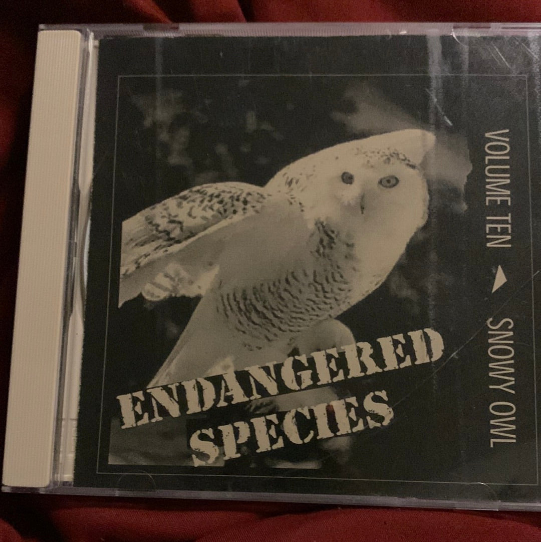 Various - Endangered Species Volume Ten (Snowy Owl) [CD]