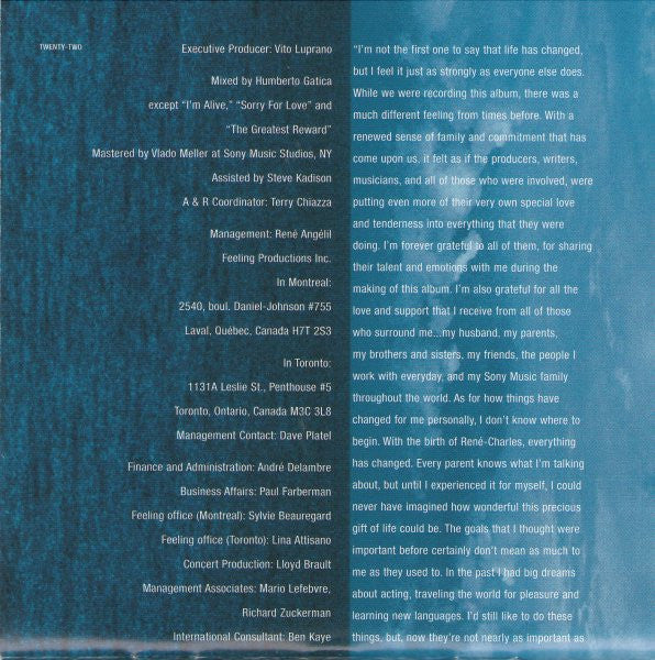 Celine Dion* : A New Day Has Come (CD, Album, Pit)