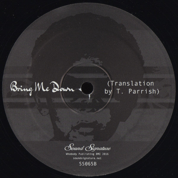 Alton Miller Featuring Maurissa Rose : Bring Me Down (12")