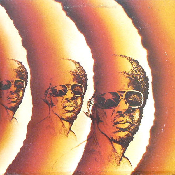 Stevie Wonder - Songs In The Key Of Life (2xLP) - Discogs image 3