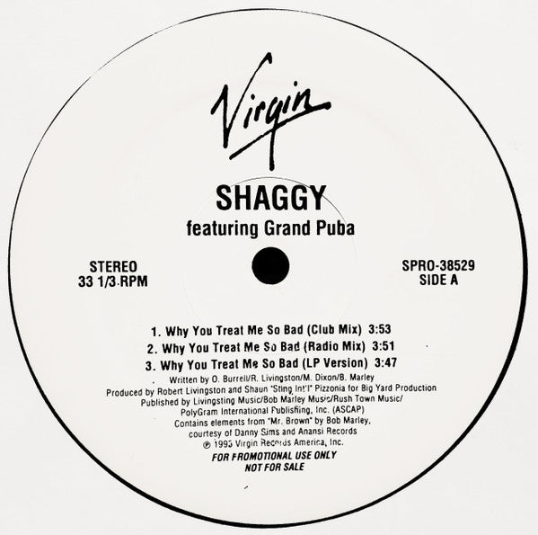 Shaggy Featuring Grand Puba - Why You Treat Me So Bad (12")