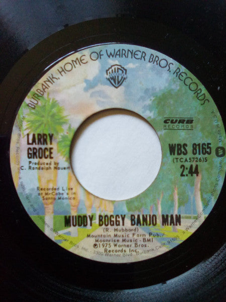 Larry Groce - Junk Food Junkie (7") - Discogs image 2