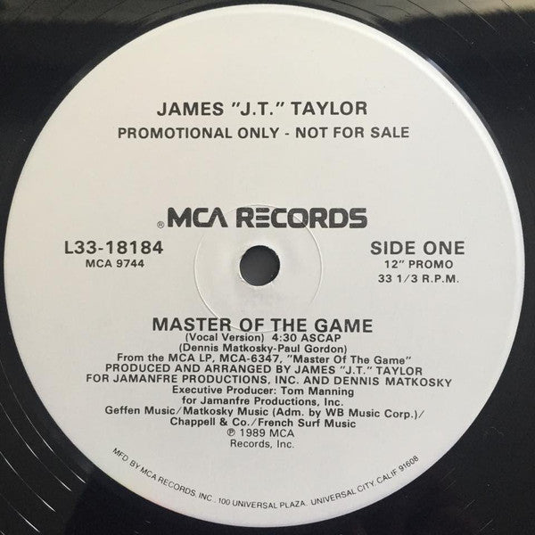 J.T. Taylor : Master Of The Game (12", Promo)