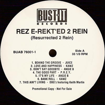Various : Rez E-Rekt'ed 2 Rein (Resurrected 2 Rein) (LP, Comp, Promo)