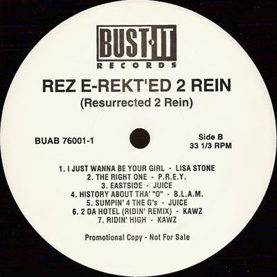Various : Rez E-Rekt'ed 2 Rein (Resurrected 2 Rein) (LP, Comp, Promo)